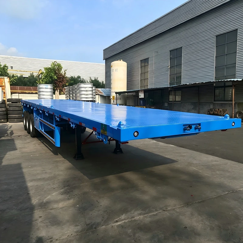 China Customized 3