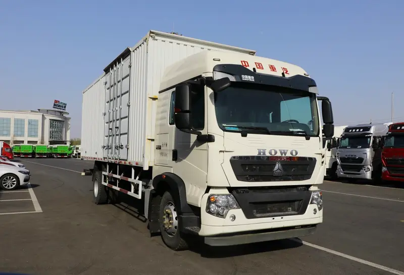 HOWO T5G 4X2 Cargo Trucks